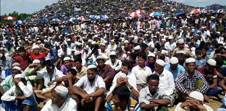People gathered and sitting on land
