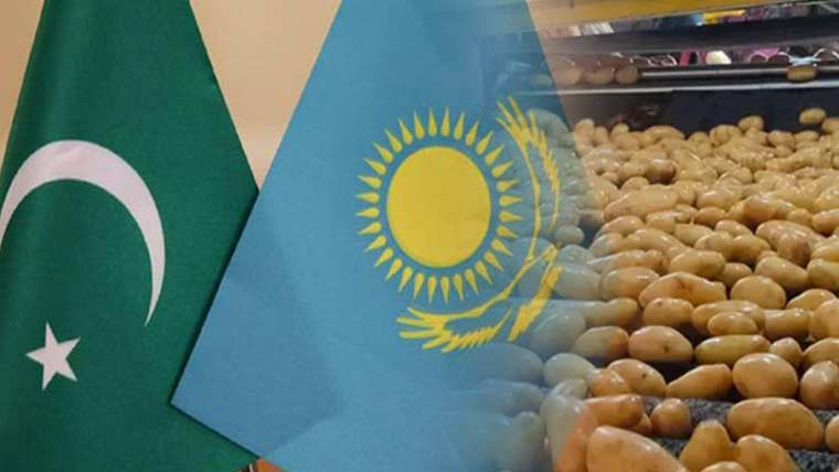 Pakistan and Kazakhstan flags with potatoes in background
